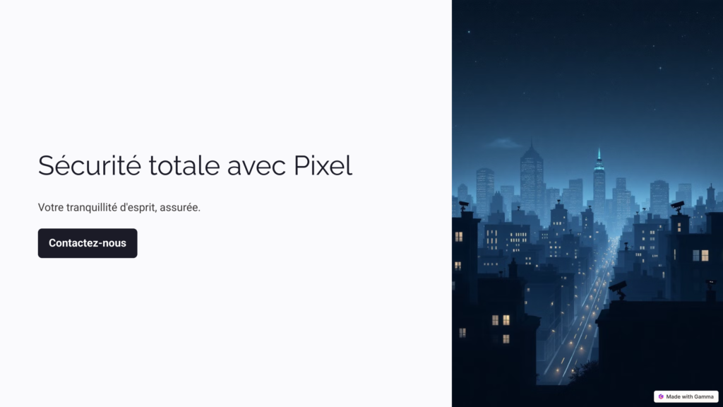 Télésurveillance